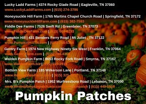 pumpkin patches in middle tennessee